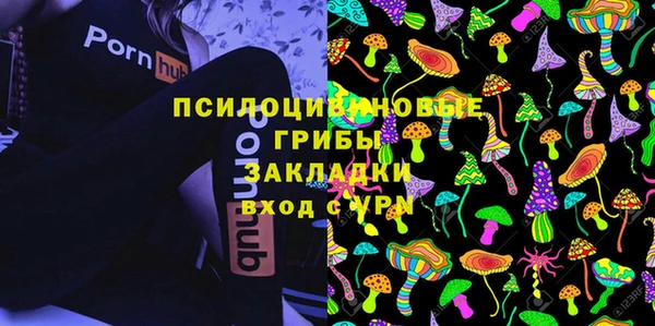 спиды Алзамай