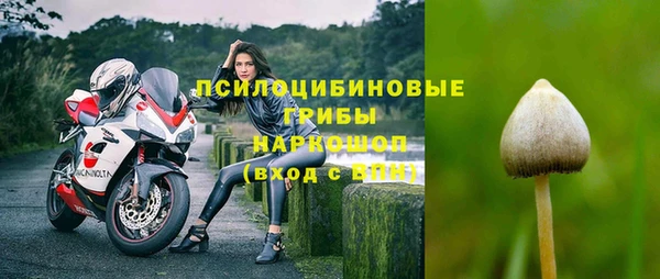спиды Алзамай