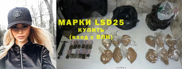 хмурый Осинники