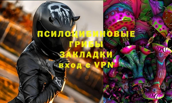 PSILOCYBIN Алексин