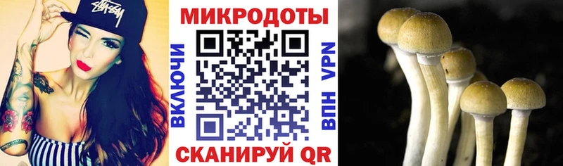 купить наркотик  Дудинка  Галлюциногенные грибы Psilocybine cubensis 